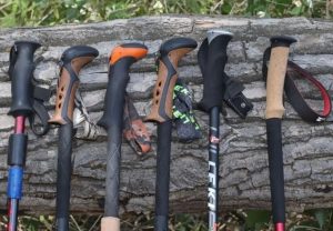 Best Walking Poles for Seniors