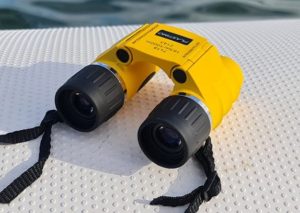 best marine binoculars with compass