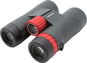 Oberwerk Sport ED 10x42