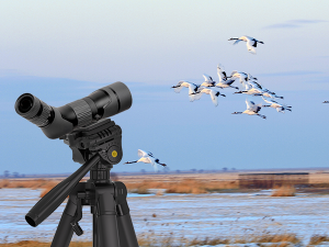 best budget spotting scope tripods